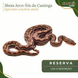 RESERVA 2027 - Jiboia...
