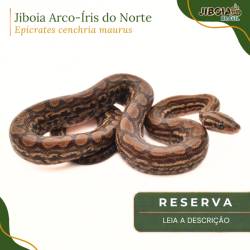 RESERVA 2027 - Jiboia...
