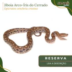 RESERVA 2027 - Jiboia...