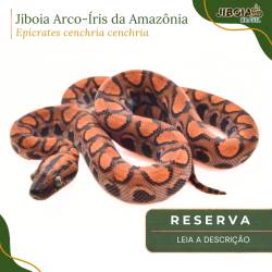 RESERVA 2027 - Jiboia...